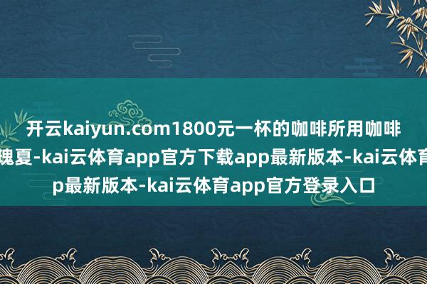 开云kaiyun.com1800元一杯的咖啡所用咖啡豆确为索菲亚庄园瑰夏-kai云体育app官方下载app最新版本-kai云体育app官方登录入口