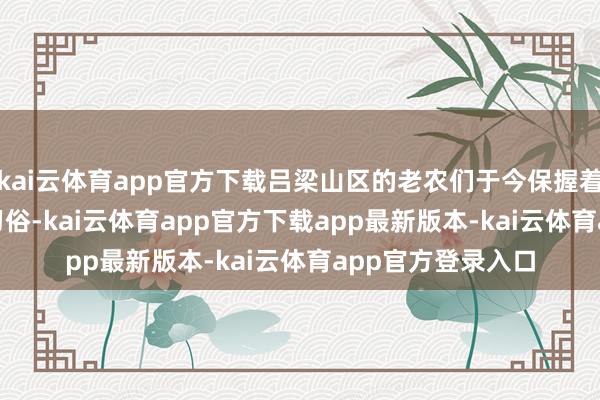 kai云体育app官方下载吕梁山区的老农们于今保握着
