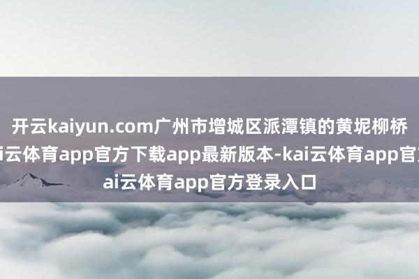 开云kaiyun.com广州市增城区派潭镇的黄坭柳桥溯溪带-kai云体育app官方下载app最新版本-kai云体育app官方登录入口