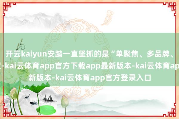 开云kaiyun安踏一直坚抓的是“单聚焦、多品牌、环球化”的政策-kai云体育app官方下载app最新版本-kai云体育app官方登录入口